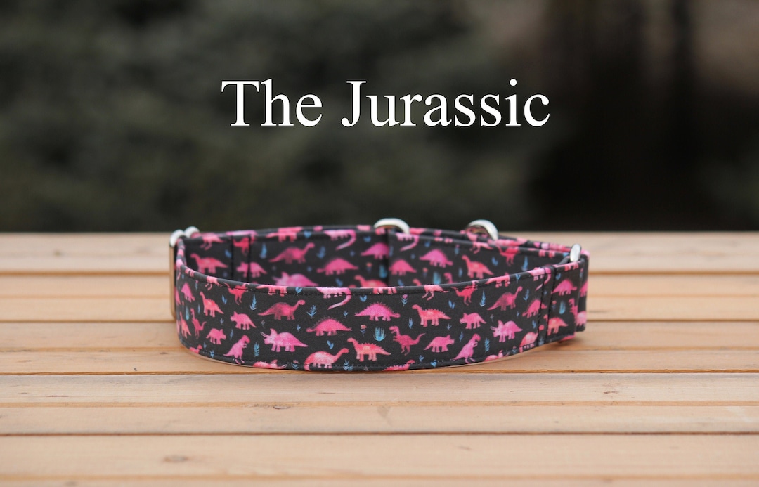 Pink Dinosaurs Dog Collar Fabric Collar XSXL Collar Girl Dog Collar