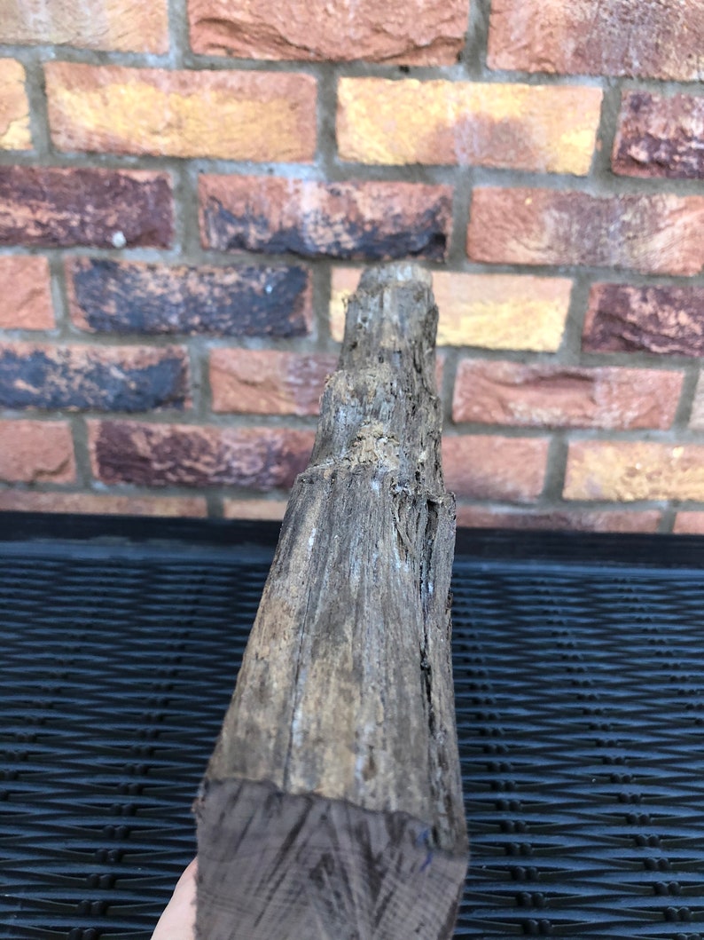 Irish Bog Yew 5000 Years Old Wood Turner Wood Carving Etsy