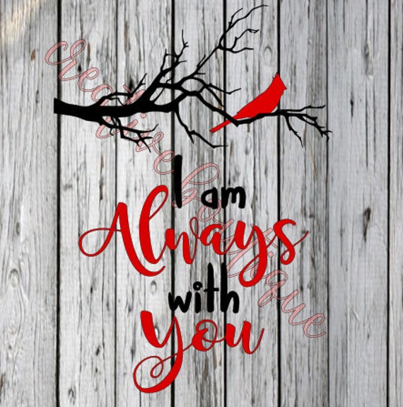 Download I am always with you red bird cardinal tree branch limb ...