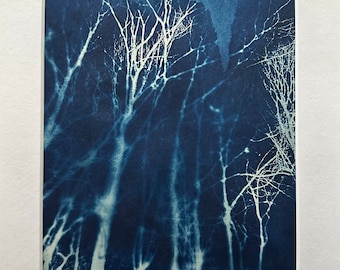 cyanotype trees