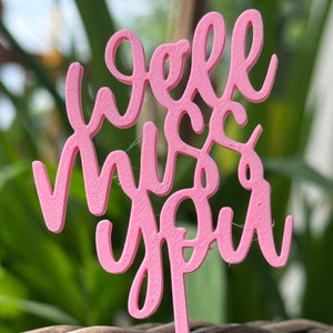 May include: Pink plastic cake topper with the words "We'll miss you" in a cursive font.