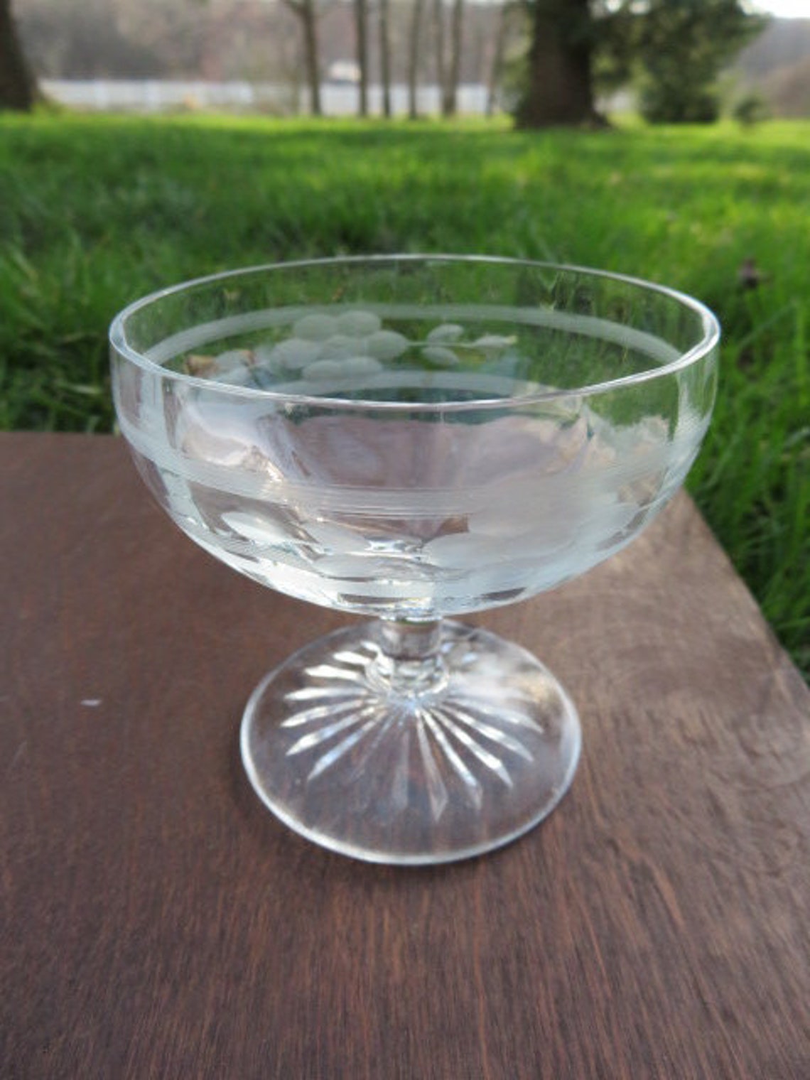 Etched Vintage Dessert Dishes Set of 11/sorbet Etsy