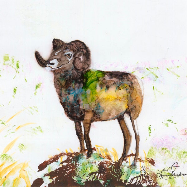 Csu Rams - Etsy