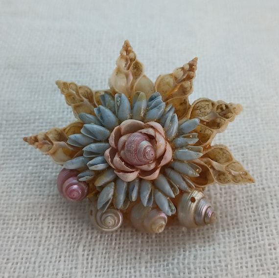 Vintage Mid-Century Starfish Shell Brooch - image 1