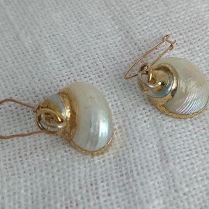 May include: A pair of seashell-shaped earrings. The earrings have a pearlescent white shell with a gold-colored metal trim and ear wires. The earrings are displayed on a white, textured surface.