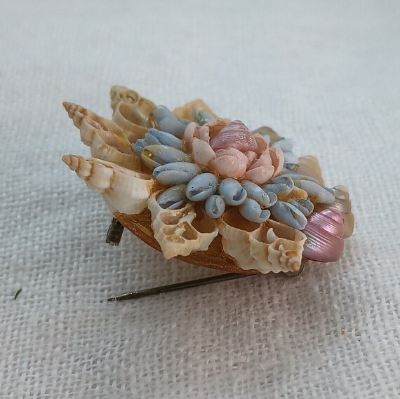 Vintage Mid-Century Starfish Shell Brooch - image 3