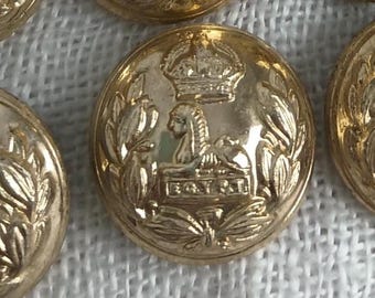 Conjunto de 12 botões pequenos de latão dourado de 6/8" para uniforme militar britânico — c. 1930-1950, King George, Regimento de Gloucestershire, Egito