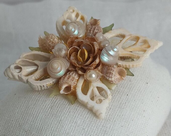 Shell Brooce Vintage 1950s-60s Seashell Brooch With Trochus Shells, Neutral Colors ...