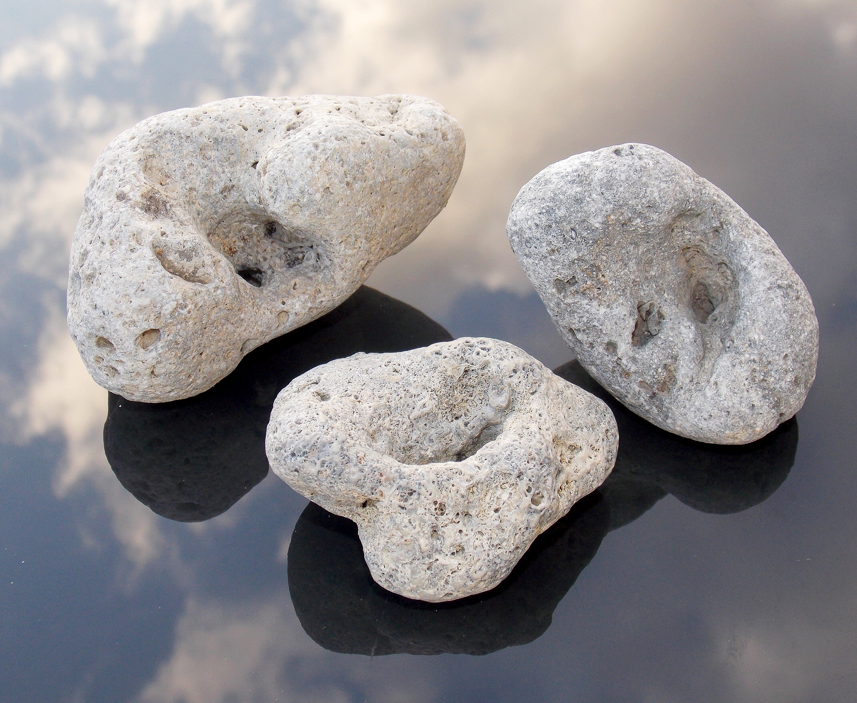 3 unusual natural hole sea stones 2.55 3.54/Stone Etsy