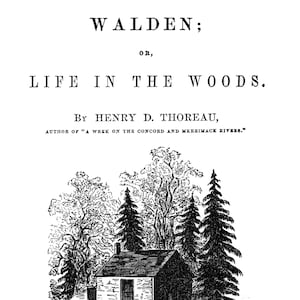 Walden, Henry David Thoreau, Thoreau, A5, Erstausgabe, INSTANT DIGITAL DOWNLOAD, life in the woods, Wandkunst, Druck, pdf, Vintage, Buch
