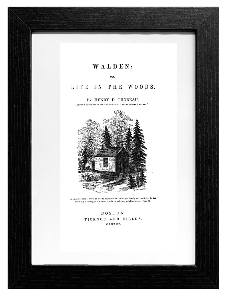 Walden, Henry David Thoreau, Thoreau, A4, First Edition, INSTANT DIGITAL DOWNLOAD, Life in the ...