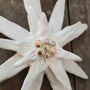 Peut inclure: Une fleur d'edelweiss en céramique blanche avec un centre bleu et or. La fleur a huit pétales et est un symbole traditionnel des Alpes.
