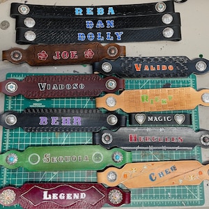 Custom Leather Halter Nose Bands