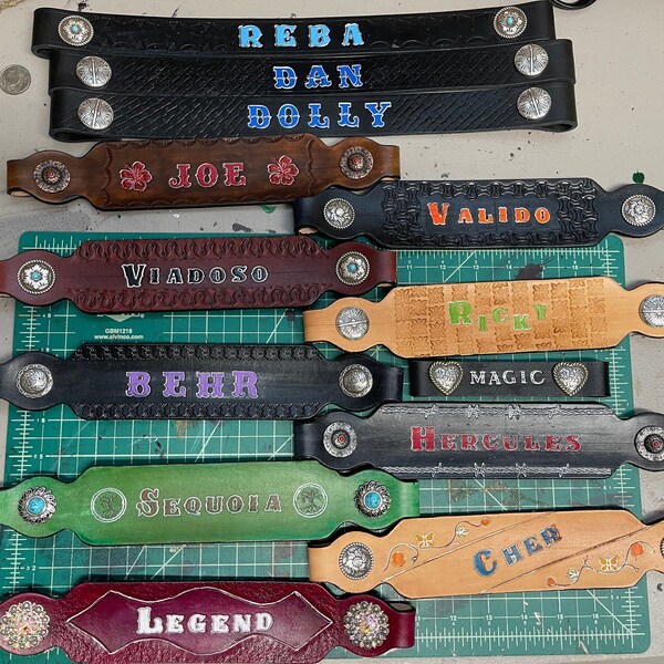 Custom Leather Halter Nose Bands