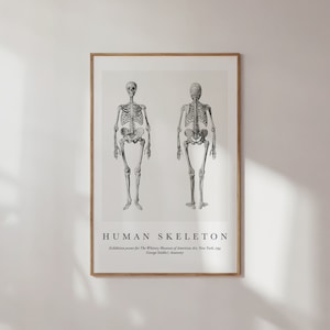 Anatomy Art Poster , Anatomy Medical Gift, Abstract Poster, Wall Art Anatomical Poster, Home Decor Vintage Human Anatomy Poster, Gift Poster