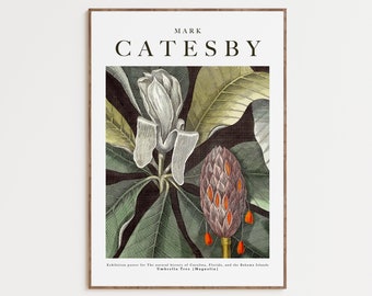 Mark Catesby Magnolia Art Print: Vintage Exhibition Poster (Digital Download)