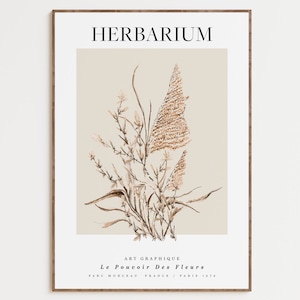 Póster de planta de acuarela vintage: herbario botánico, póster de flores vintage, impresión artística vintage imprimible.