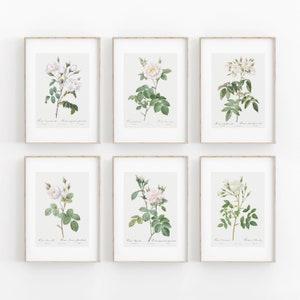 Juego de 6 impresiones decorativas florales, arte de pared de galería de flores de rosas, impresión en color verde, póster de exposición de arte, tonos pastel, impresión artística para decoración del hogar