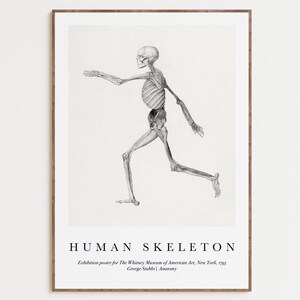 Anatomy Art Poster , Anatomy Medical Gift, Abstract Poster, Wall Art Anatomical Poster, Home Decor Vintage Human Anatomy Poster, Gift Poster