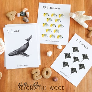 Ocean Numbers 1-20 Flash Cards, Montessori Counting Printable, Educational Number Cards, Kindergarten Aquatic Math Cards, Animal Learning