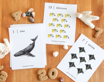 Ocean Numbers 1-20 Flash Cards, Montessori Counting Printable, Educational Number Cards, Kindergarten Aquatic Math Cards, Animal Learning