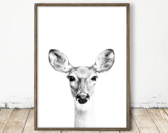 deer print, deer art, doe art, doe print, forest animal print, bw deer print, bw deer art, black and white animal print, forest art print