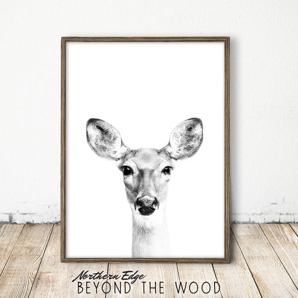 deer print, deer art, doe art, doe print, forest animal print, bw deer print, bw deer art, black and white animal print, forest art print