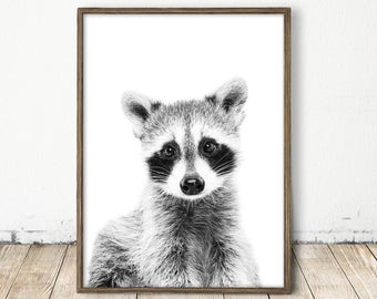 Baby Raccoon Print, Raccoon Print, Forest Animal Print, Woodlands Decor, Nursery Wall Art, Raccoon Photo, Woodlands Animal Art, Baby Animal