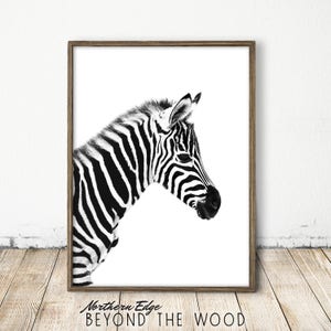 Zebra Print, Zebra Art, Baby Zebra Print, Nursery Wall Art, Baby Zoe Animal Print, Black White Safari Decor, Kids Room Print, Baby Zebra Art