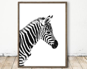 Zebra Print, Zebra Art, Baby Zebra Print, Nursery Wall Art, Baby Zoe Animal Print, Black White Safari Decor, Kids Room Print, Baby Zebra Art