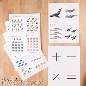 May include: A set of printable flashcards featuring ocean animals and numbers 1 through 20. The cards are printed on white paper with black text and illustrations. The illustrations include humpback whales, spoon whales, blue whales, orcas, seahorses, angelfish, starfish, and scallop shells.