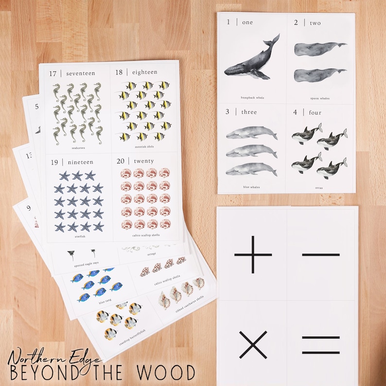 May include: A set of printable flashcards featuring ocean animals and numbers 1 through 20. The cards are printed on white paper with black text and illustrations. The illustrations include humpback whales, spoon whales, blue whales, orcas, seahorses, angelfish, starfish, and scallop shells.
