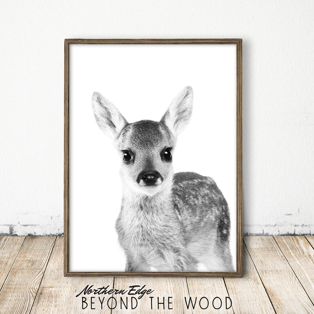 Deer Print, Deer Art, Printable Deer, Baby Deer Art, Baby Deer Print ...