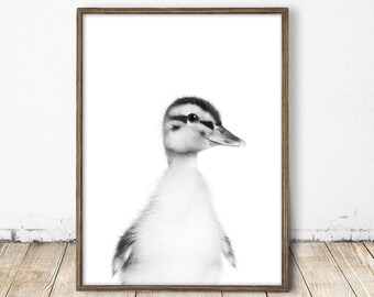 Baby Duck Print, Duck Print, Cute Duck Art, Duckling Print, Farm Animal Print, Baby Animal Decor, Printable Nursery Art, Modern Animal Print