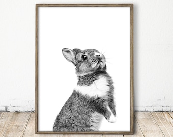 bunny print, bunny art, nursery bunny print, nursery bunny art, black and white bunny print, rabbit print, rabbit art, bw bunny wall art