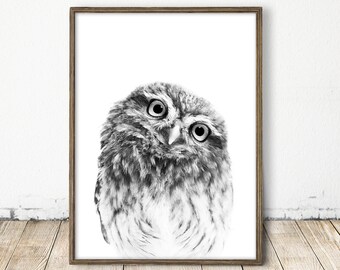 Owl Print, Baby Owl Art, Nursery Wall Art, Baby Animal Art, Woodlands Nursery Animal, Nursery Decor, Printable Woodlands Animal, Owl Photo