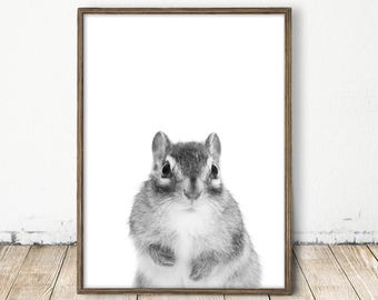 Baby Chipmunk, Chipmunk Print, Forest Animal Print, Woodland Print, Square Wall Art, Nursery Wall Decor, Square Print, Woodlands Animal Art