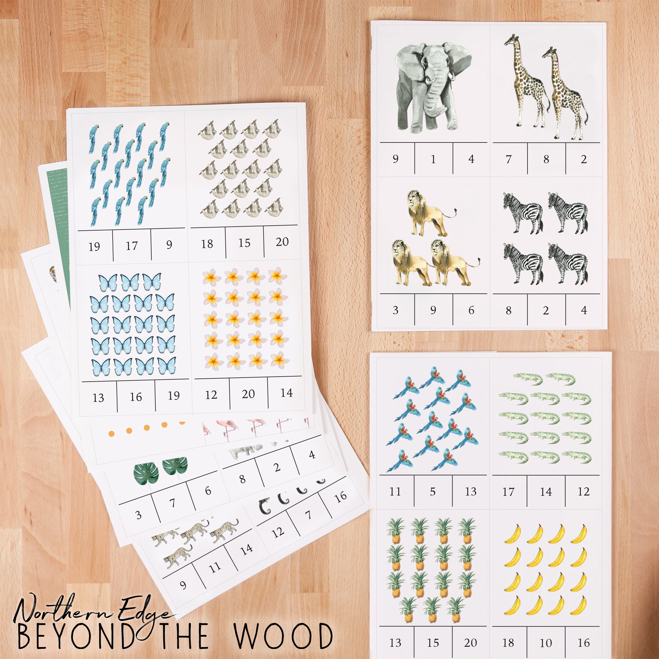 Lizard Counting Card Zoo Animal Clip Flash Card, Montessori Counting Printable, Educational ...