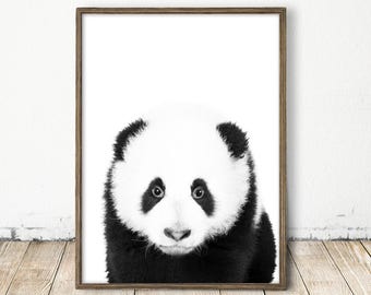 Baby Panda Art, Panda Print, Nursery Wall Decor, Baby Panda Print, Baby Room Art, Baby Zoo Animal, Panda Decor, Baby Panda Art, Panda Print