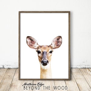 deer print, deer art, doe print, doe art, printable animal art, forest art, forest print, modern animal print, cute forest print, wild print