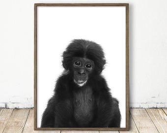 Baby Monkey Art, Monkey Print, Monkey Art, Chimp Print, Nursery Zoo Art, Printable Monkey, African Nursery Decor, Zoo Print, Baby Animal Art