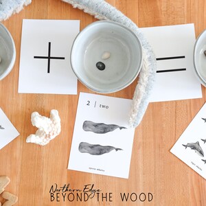 May include: A math learning activity with two bowls, one with three seashells and the other with one seashell. The bowls are next to a card with a plus sign and an equals sign. There are also cards with pictures of whales and sharks, and the numbers 2, 5, and the words "two" and "five".