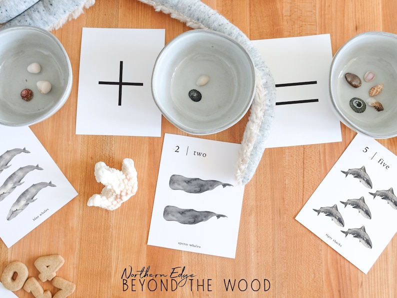 May include: A math learning activity with two bowls, one with three seashells and the other with one seashell. The bowls are next to a card with a plus sign and an equals sign. There are also cards with pictures of whales and sharks, and the numbers 2, 5, and the words "two" and "five".