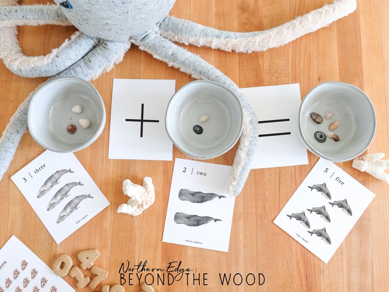 May include: A wooden table with a gray octopus plush toy, three bowls, and cards with numbers and pictures of whales and sharks. The bowls contain small seashells. The cards have the words "three", "two", and "five" written on them. The text "Northern Edge Beyond The Wood" is visible on the table.