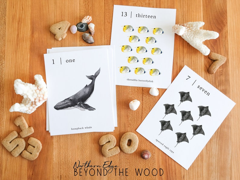 Ocean Numbers 1-20 Flash Cards, Montessori Counting Printable, Educational Number Cards, Kindergarten Aquatic Math Cards, Animal Learning image 1