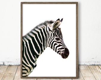 zebra print, zebra art, printable zebra art, nursery print, striped wall art, carnival art, baby animal print, baby zebra, baby zebra print