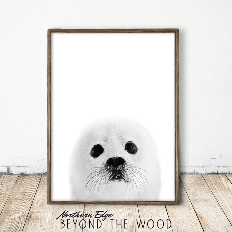 baby seal print, arctic print, arctic nursery, scandinavian nursery art, nordic nursery print, bw nursery, arctic print, arctic baby art image 2