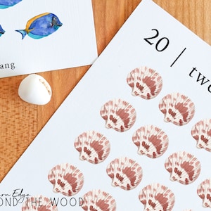 May include: A white card with the number 20 and the word "twenty" written on it. Twenty pink and white seashells are arranged in rows on the card.