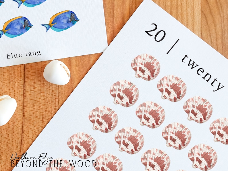 May include: A white card with the number 20 and the word "twenty" written on it. Twenty pink and white seashells are arranged in rows on the card.