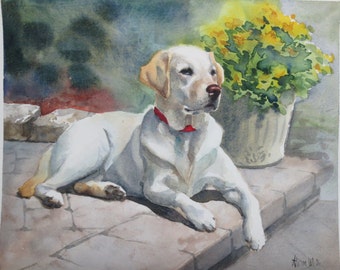 Custom Pet Portrait